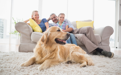 image for Change a Pet’s Life Day!
